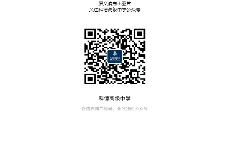 1749172567199065.jpg